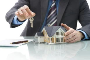 What are conveyancing searches?
