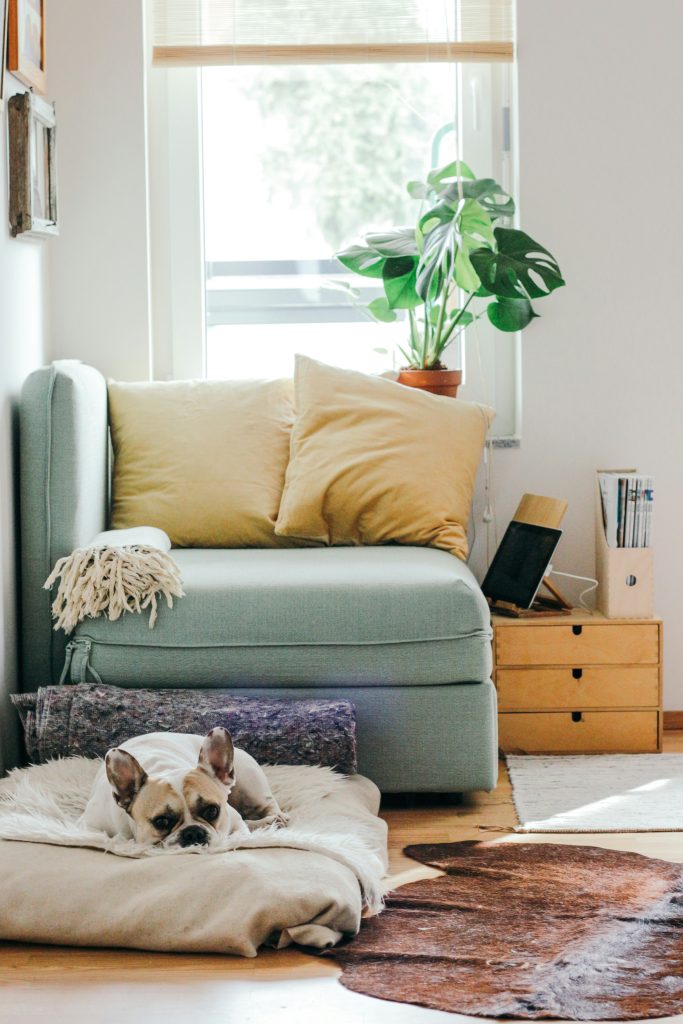 Additional Conveyancing Services